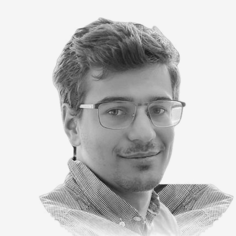 Damien Servanin, Développeur